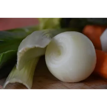 Frozen Onion (28)-5452609-75230.webp